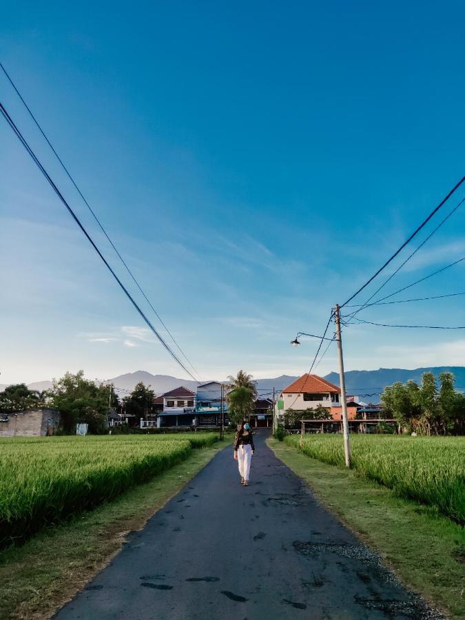 Hotel Mandari Buleleng  Ngoại thất bức ảnh