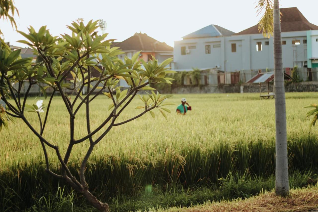 Hotel Mandari Buleleng  Ngoại thất bức ảnh